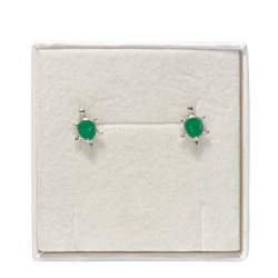 Skildpadde restikker