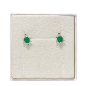 Skildpadde restikker